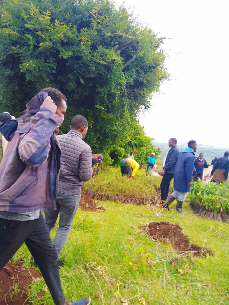 Environmental restoration at Ngong Hills